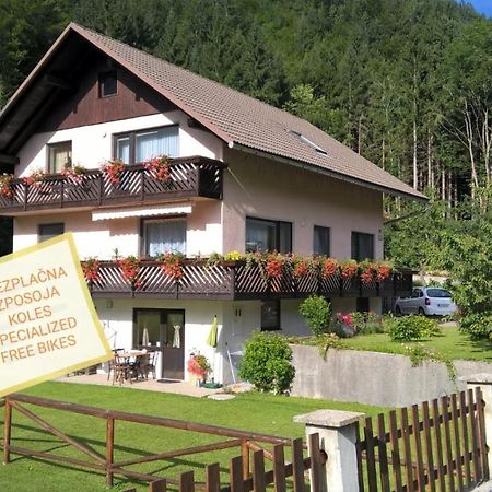 Apartments Mertelj Kranjska Gora Exterior photo